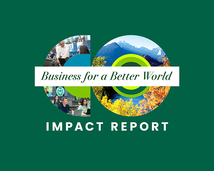 Business for a Better World Impact Report